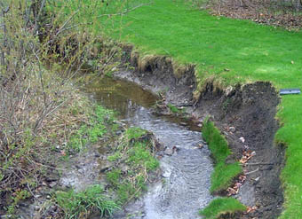 Drainage Solutions Are Key to Preventing Erosion